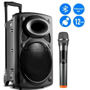 Wireless Microphone speaker