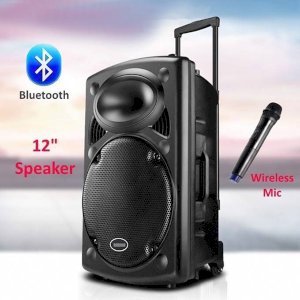 Wireless Microphone speaker